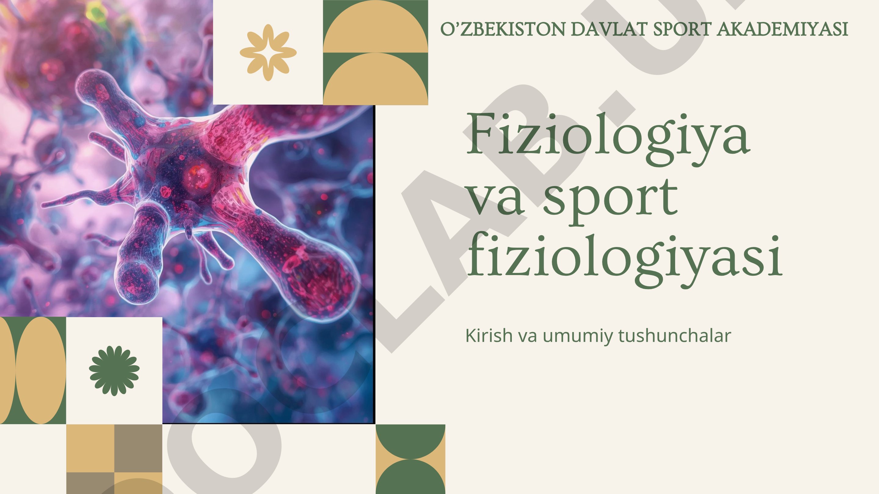 Fiziologiya va sport fiziologiyasi