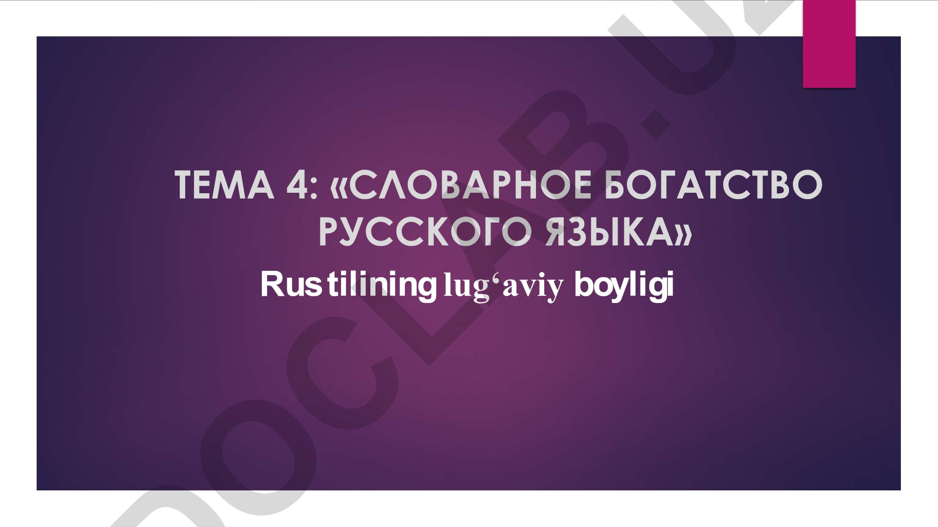 Словарное богатство русского языка