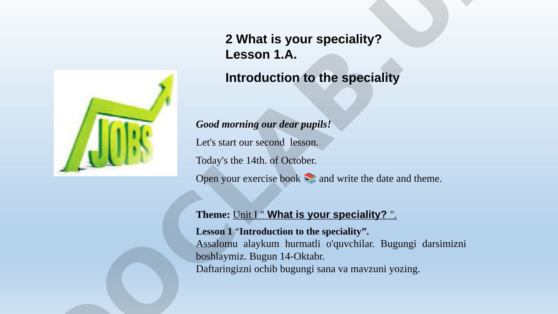 What is your speciality? Introduction to the speciality