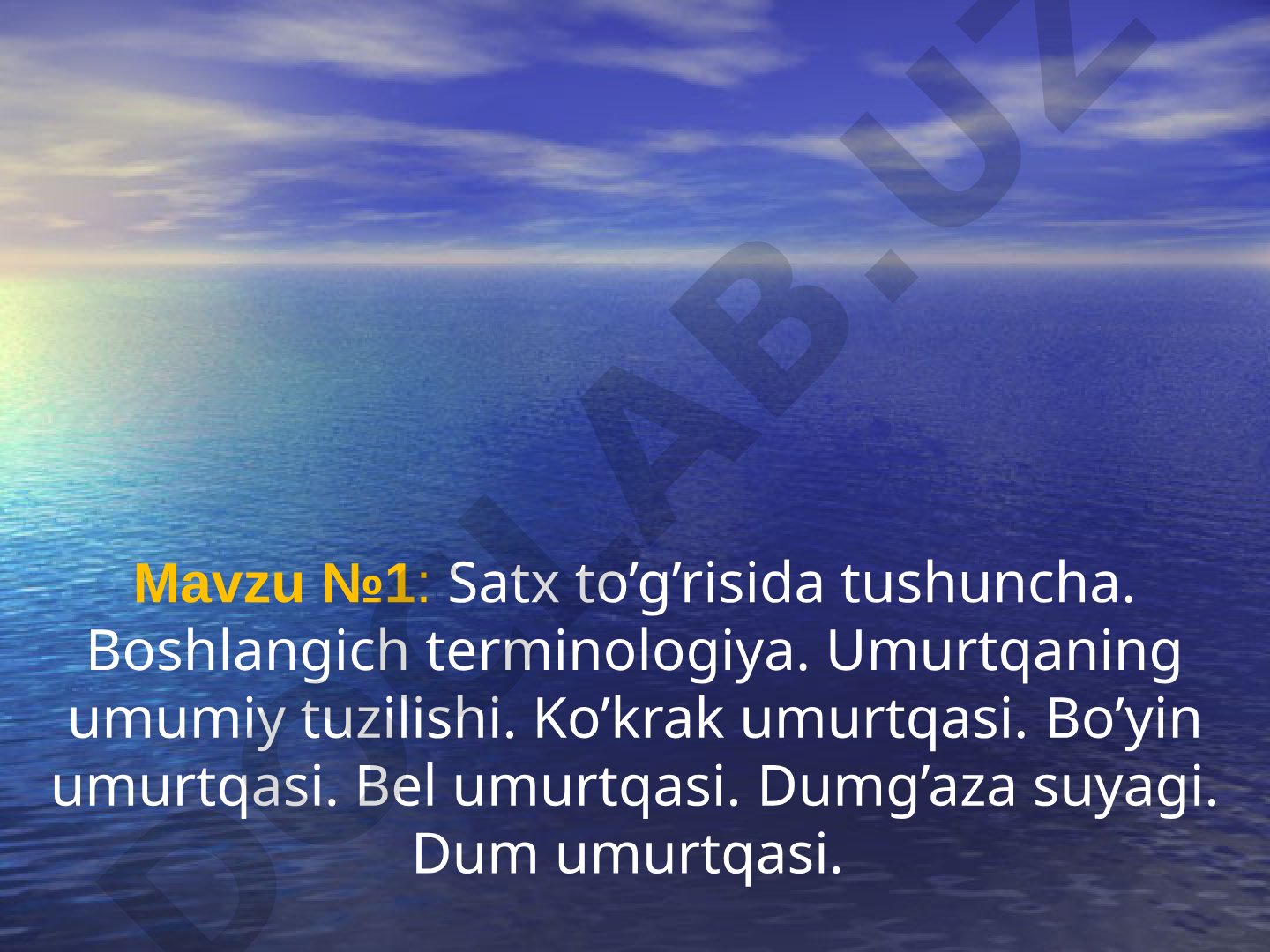 Umurtqaning umumiy tuzilishi