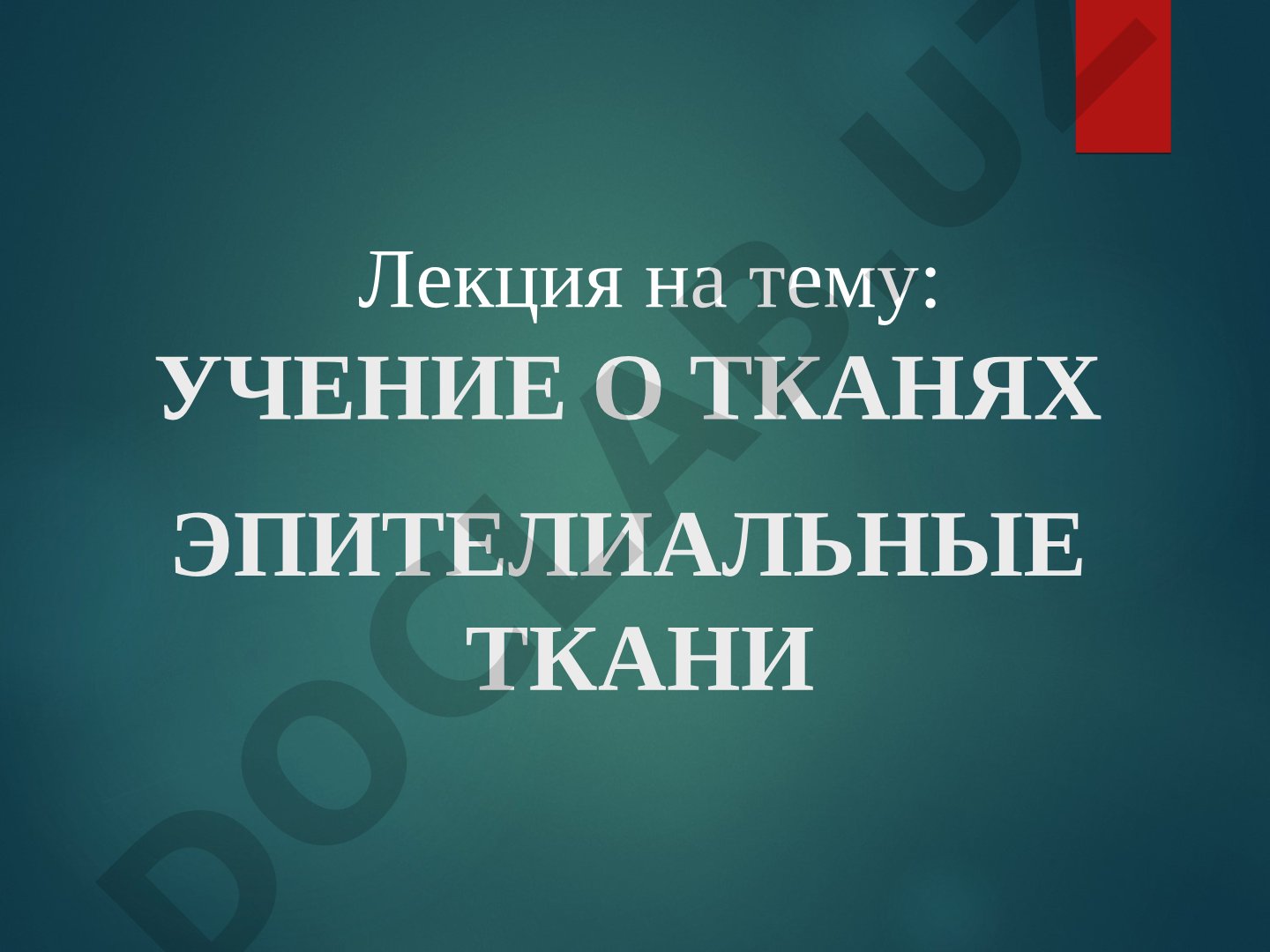 Учение о тканях. Эпителиальные ткани