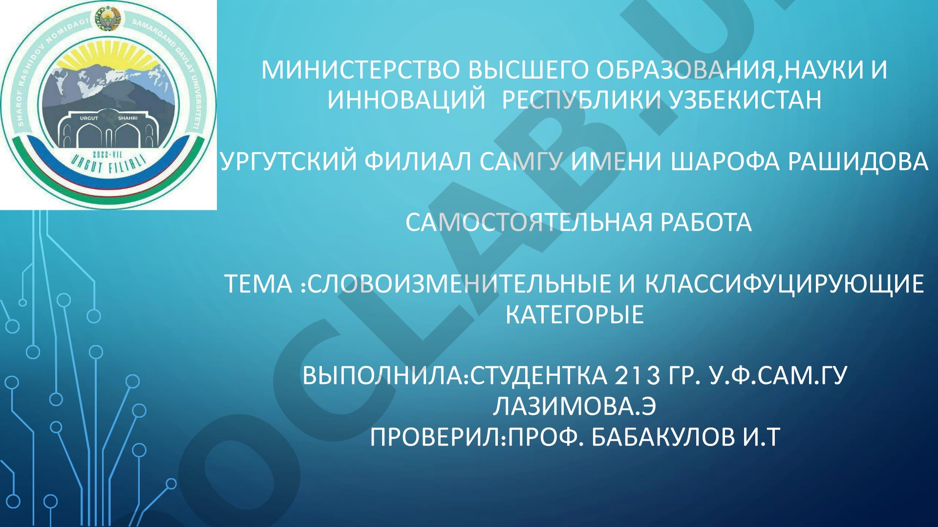 Словоизменительные и классифицирующие категории