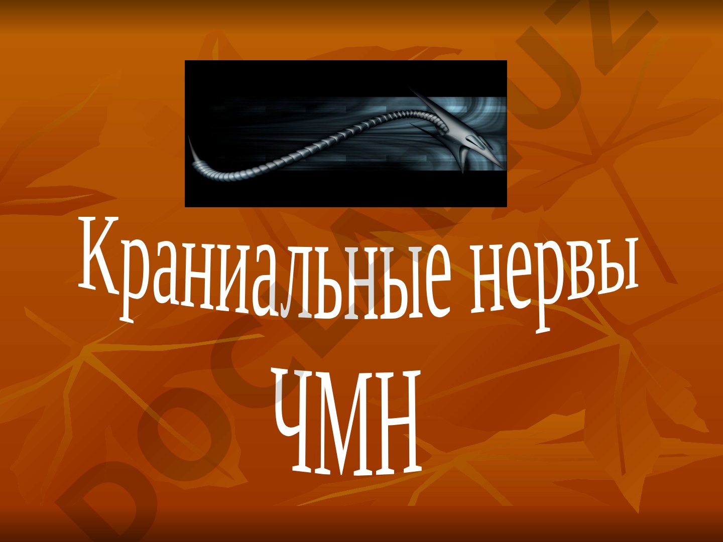 Черепно-мозговые нервы: классификация и иннервация