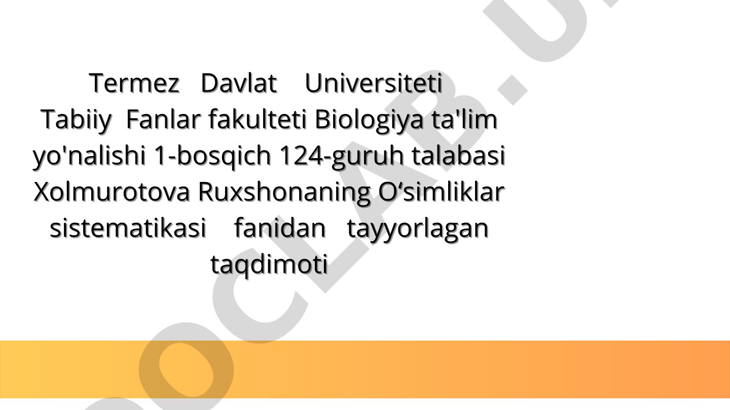 Liliales tartibining kelib chiqishi va savrinjondoshlar oilasi