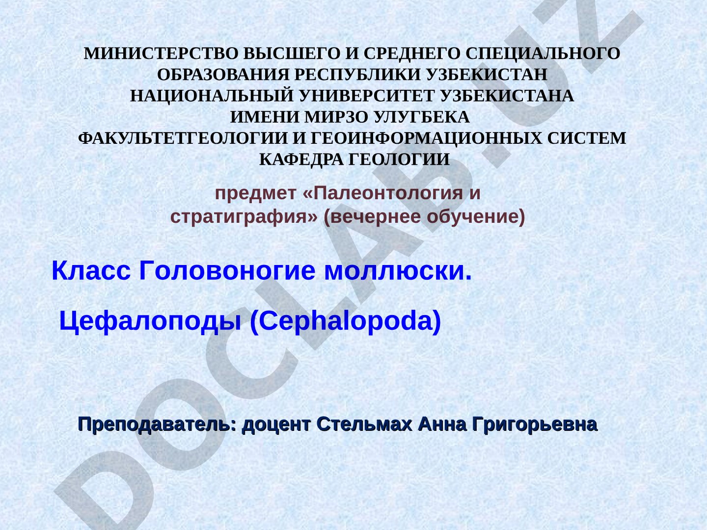 Класс Головоногие моллюски. Цефалоподы (Cephalopoda)