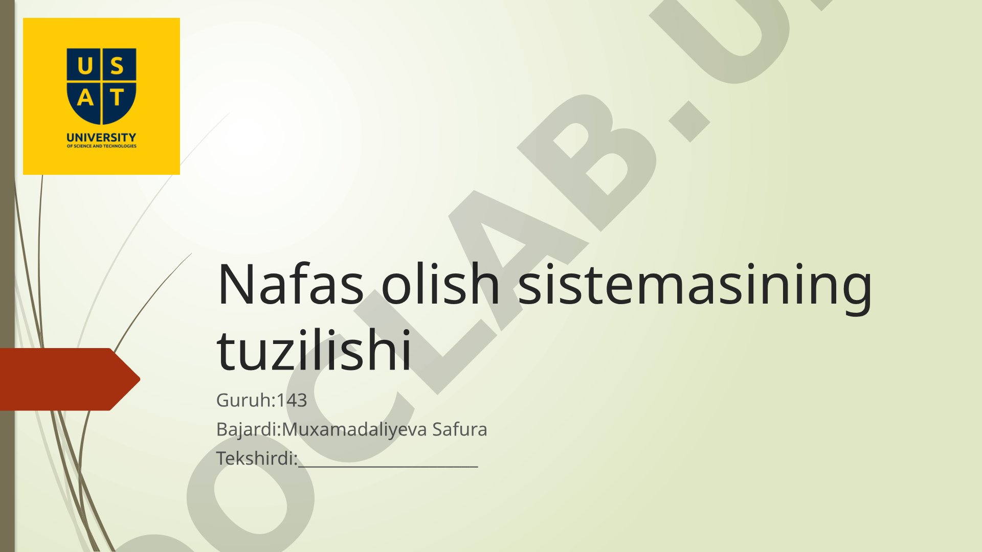 Nafas olish sistemasining tuzilishi