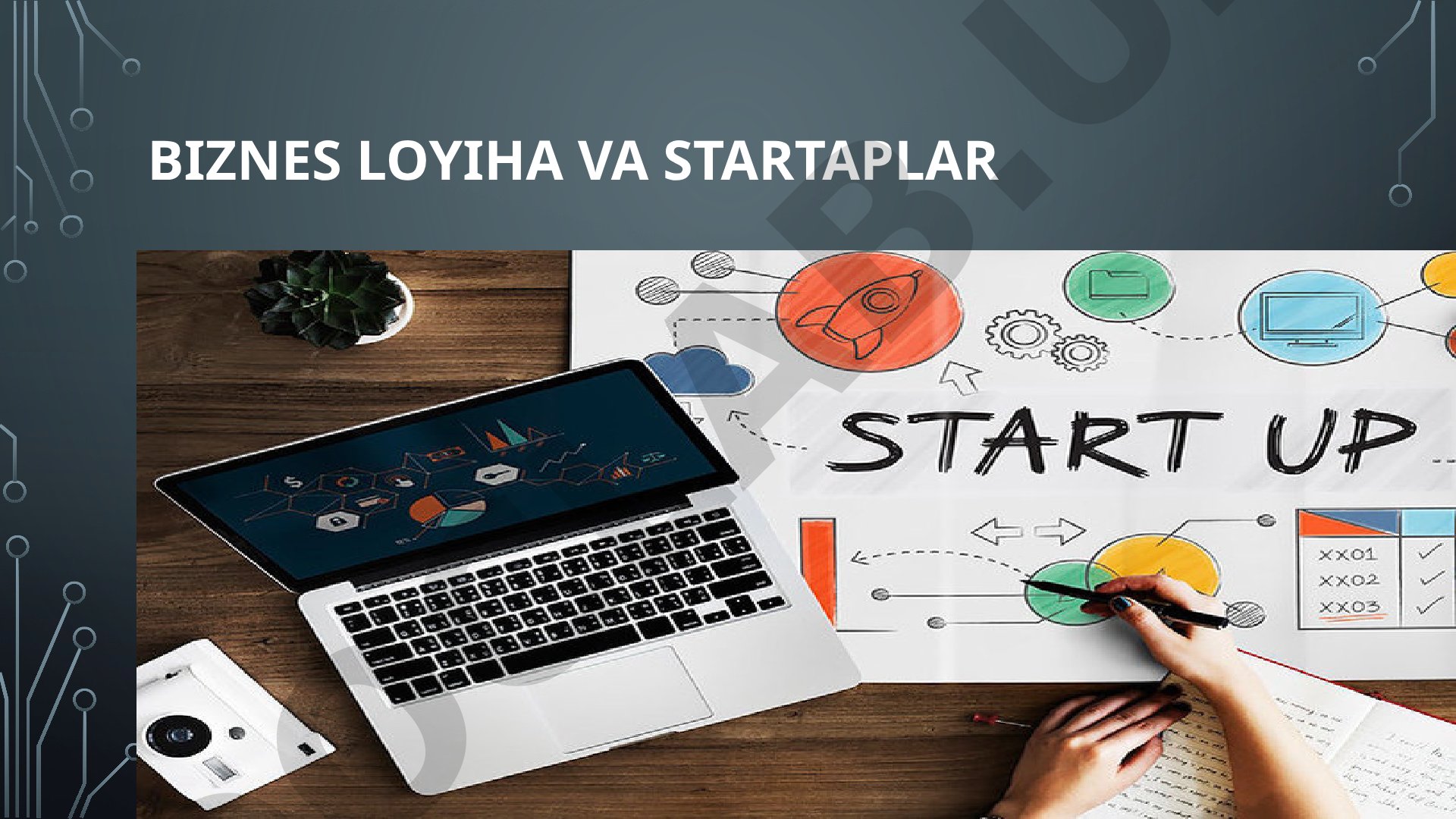 Biznes loyiha va startaplar