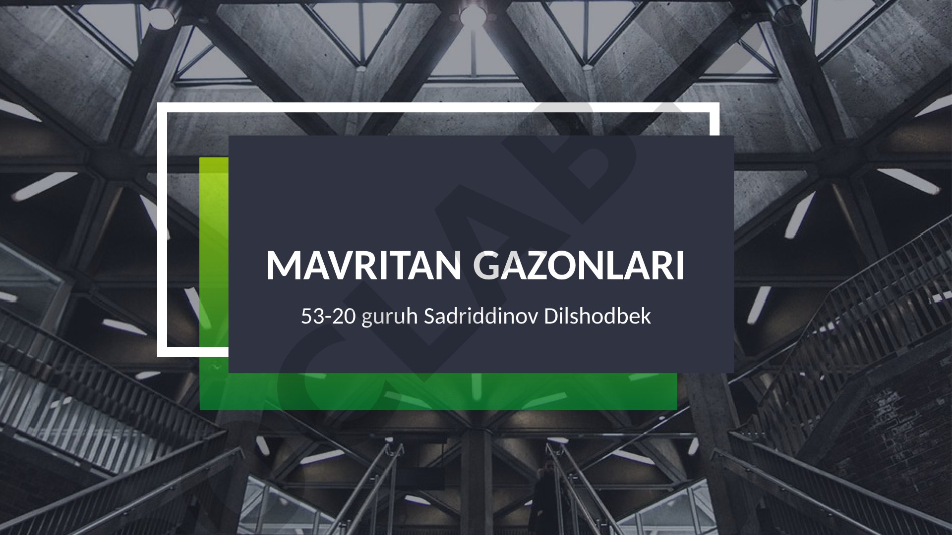 Mavritan gazonlari haqida ma'lumot, maysazor turlari va vazifalari