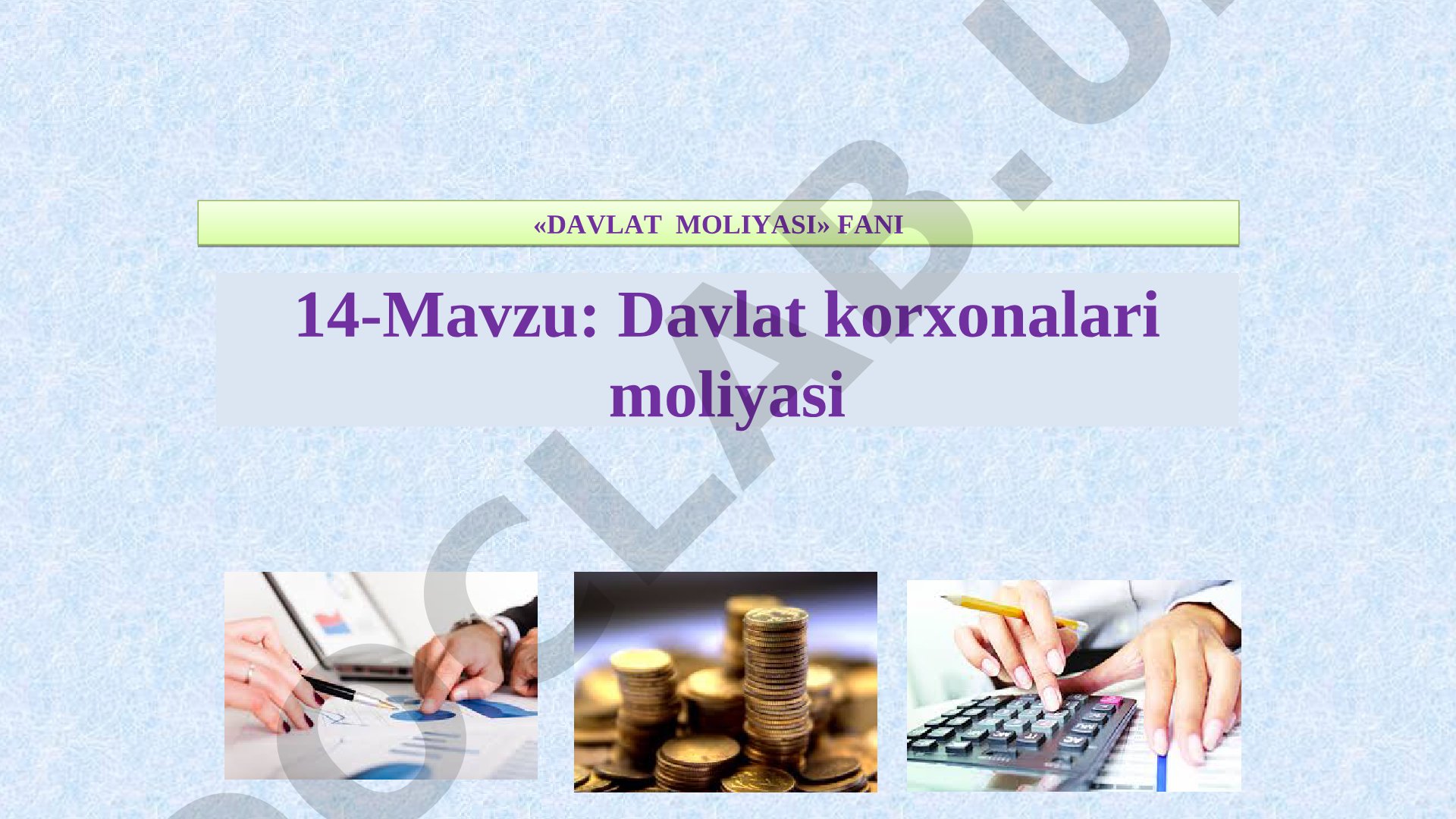 Davlat korxonalari moliyasi