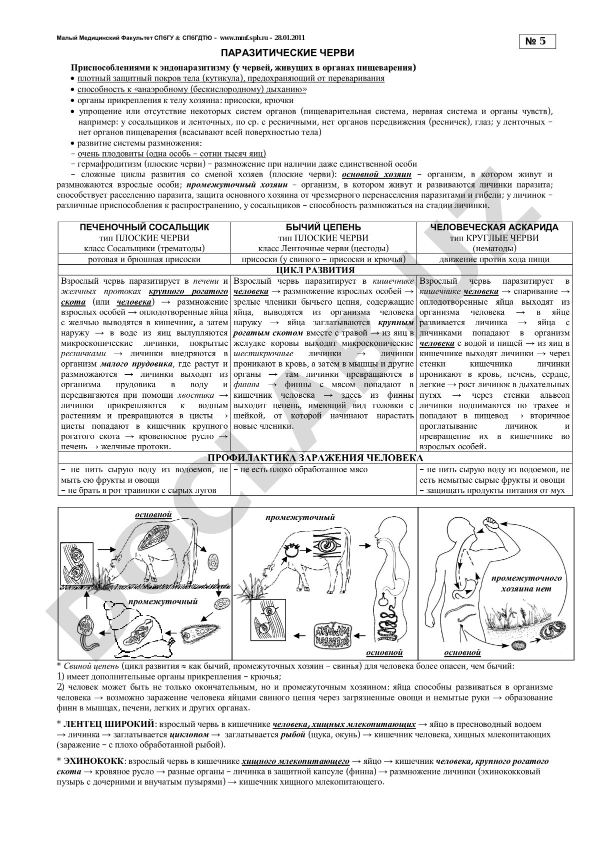 Финансовая статистика с сайта mmf.spb.ru