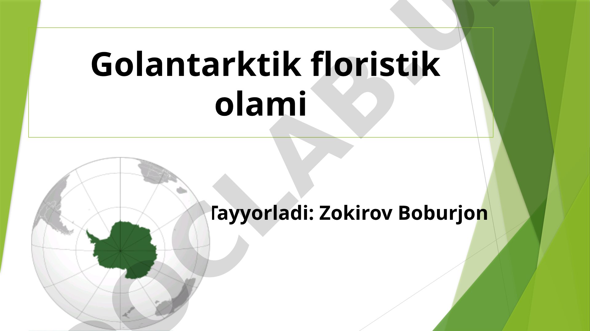 Golantarktik floristik olami