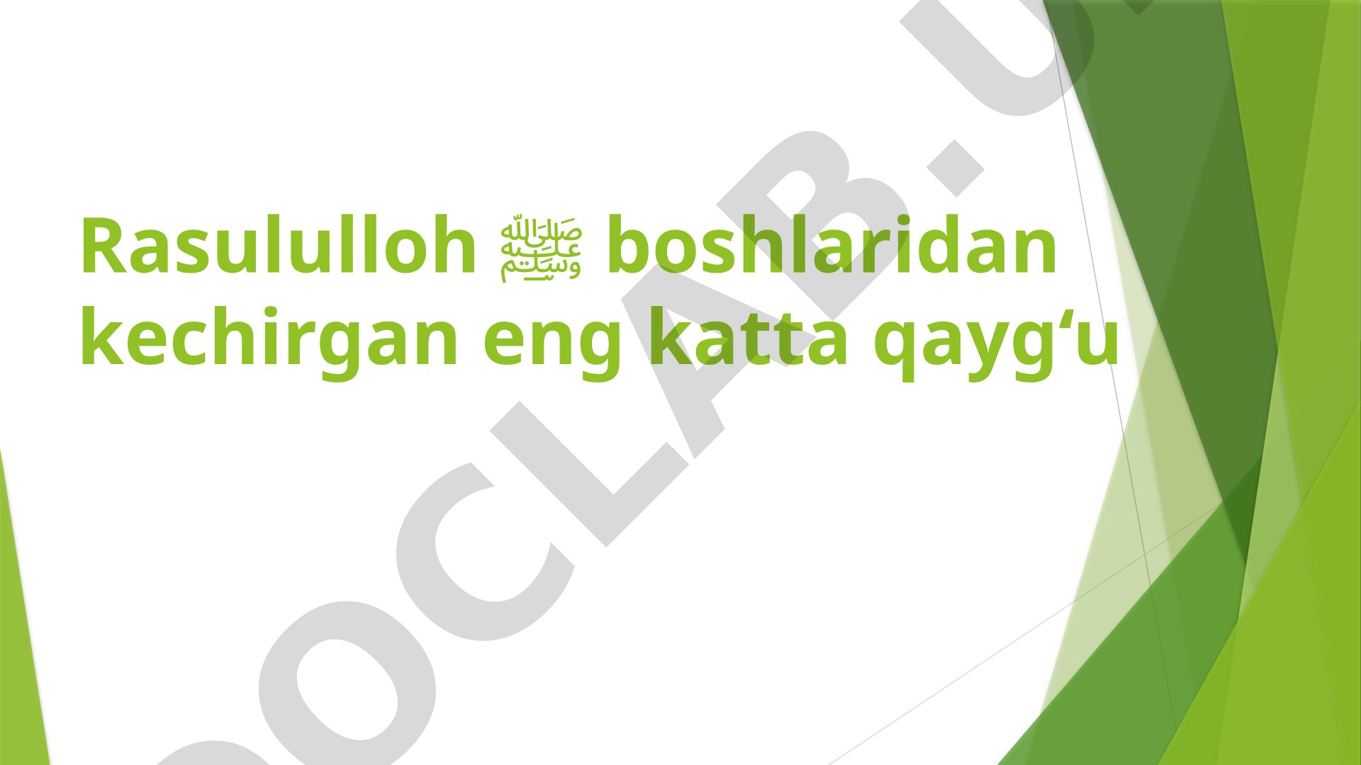 Nabiy sollallohu alayhi vasallamning Aqaba kunidagi sinovlari