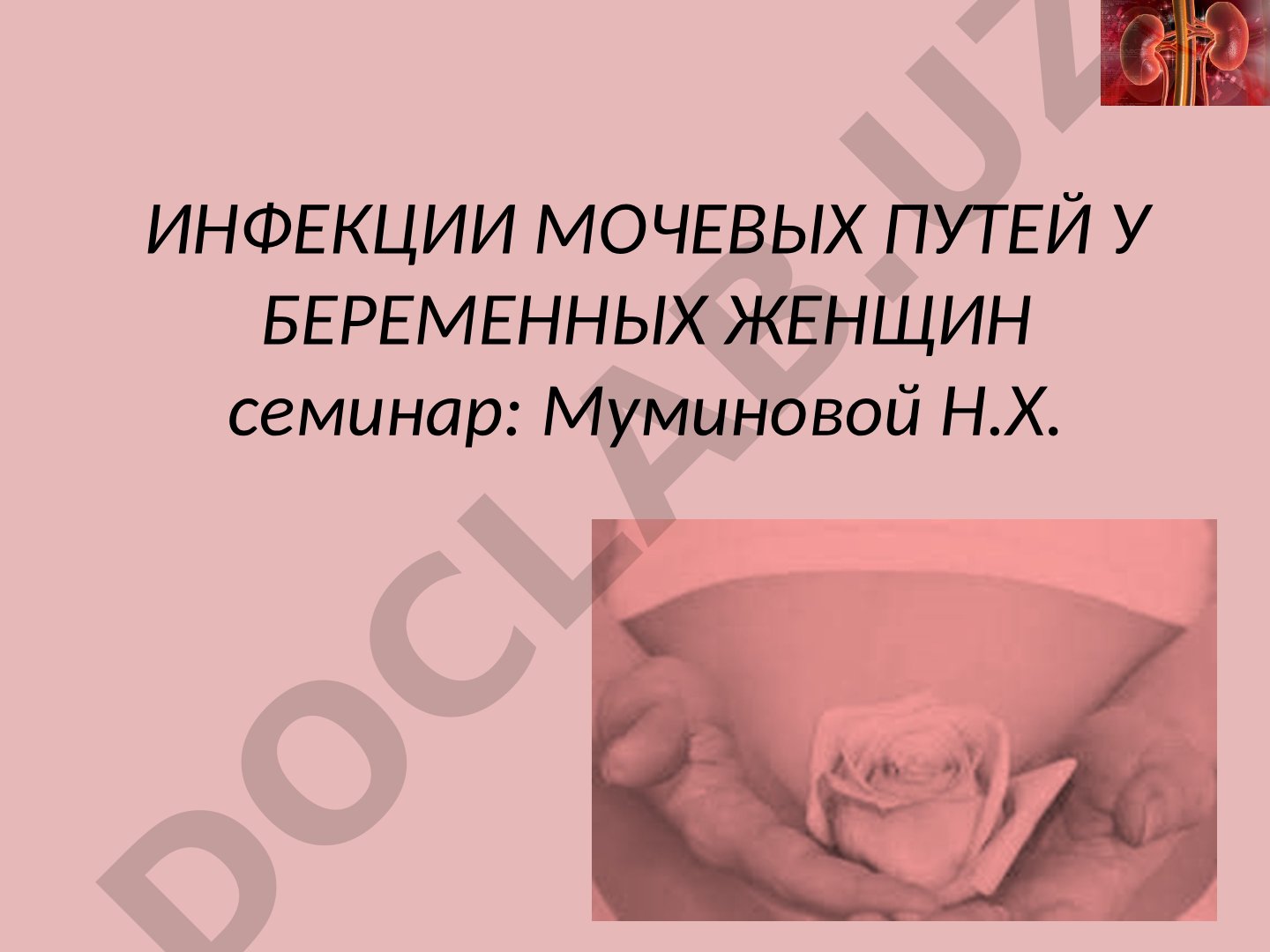 Инфекции мочевых путей у беременных женщин