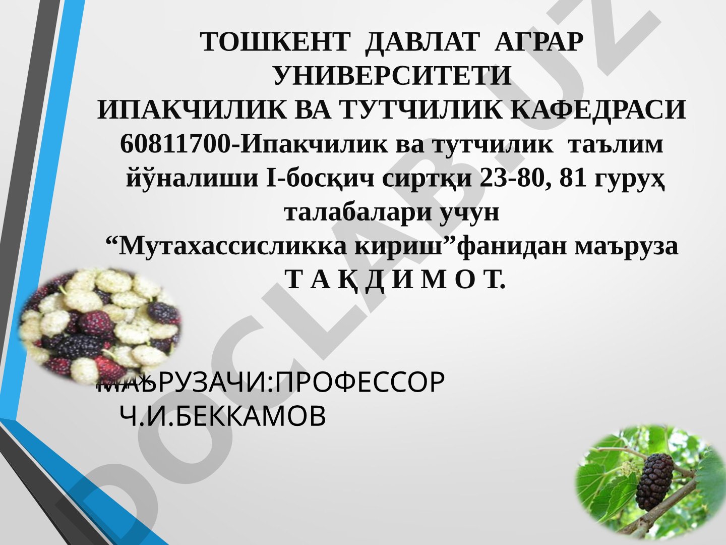 Махсус озуқа берувчи тутзорларни ташкил қилиш, парваришлаш агротехнологияси ва баргидан мавсумий фойдаланиш усуллари