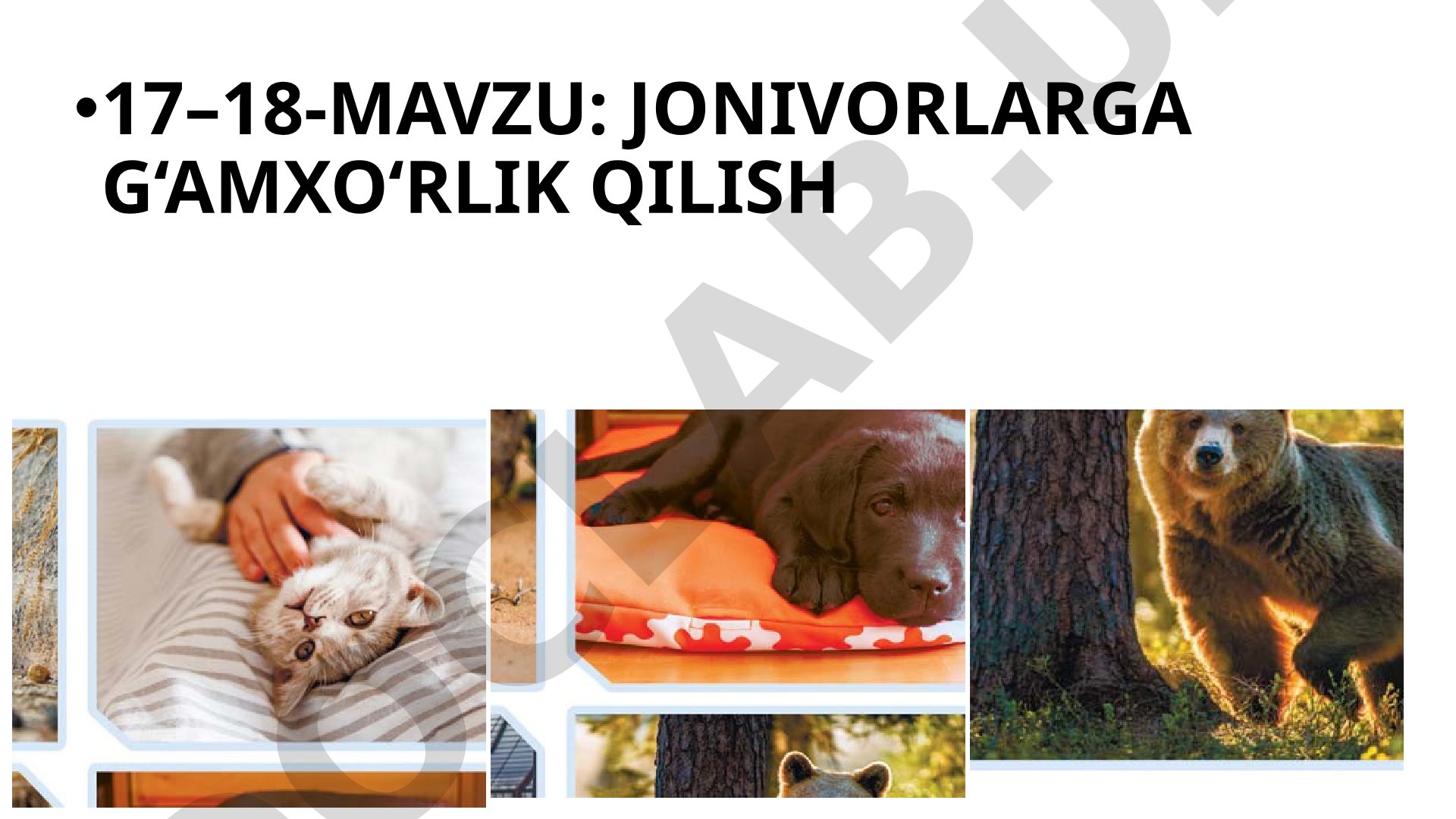 Jonivorlarga g'amxo'rlik qilish