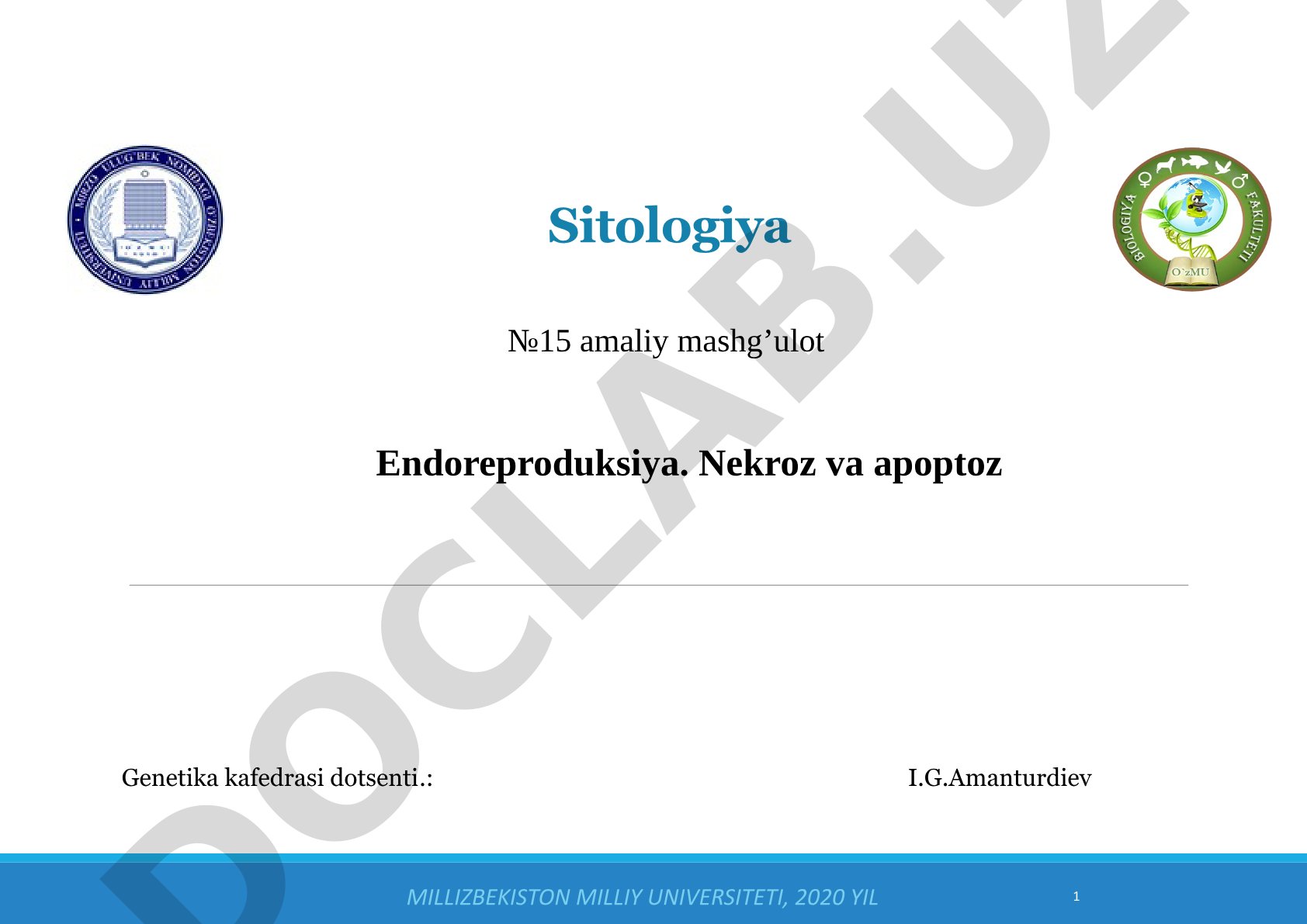 Endoreproduksiya. Nekroz va apoptoz