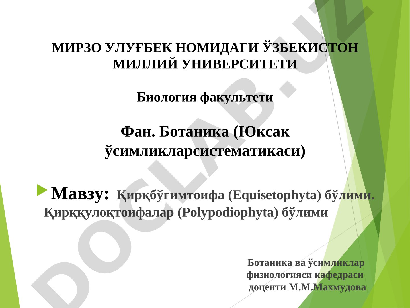 Қирқбўғимтоифа (Equisetophyta) бўлими. Қирққулоқтоифалар (Polypodiophyta) бўлими