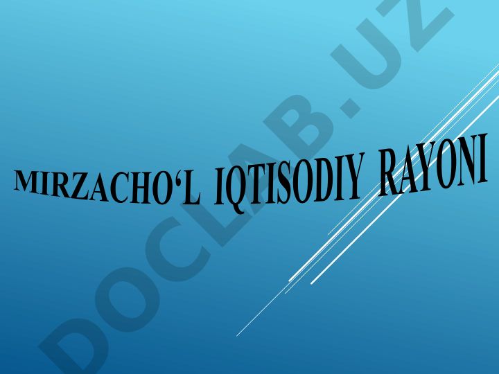 Mirzacho'l iqtisodiy rayonining iqtisodiy o'rni va tabiiy boyliklari