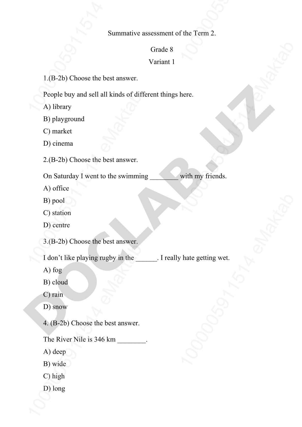 Summative Assessment English Grade 8 Term 2