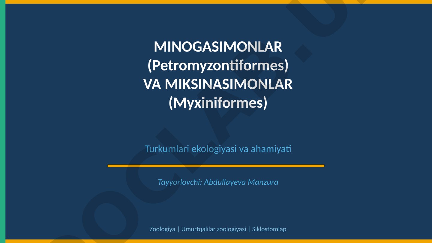 MINOGASIMONLAR (Petromyzontiformes) VA MIKSINASIMONLAR (Myxiniformes) Turkumlari ekologiyasi va ahamiyati