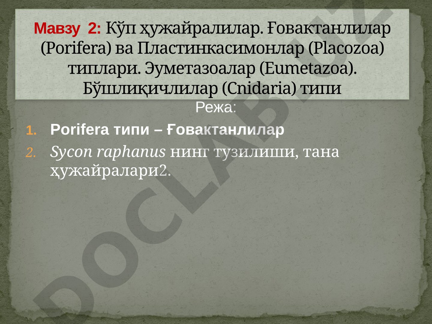 Кўп ҳужайралилар. Ғовактанлилар (Porifera) ва Пластинкасимонлар (Placozoa) типлари