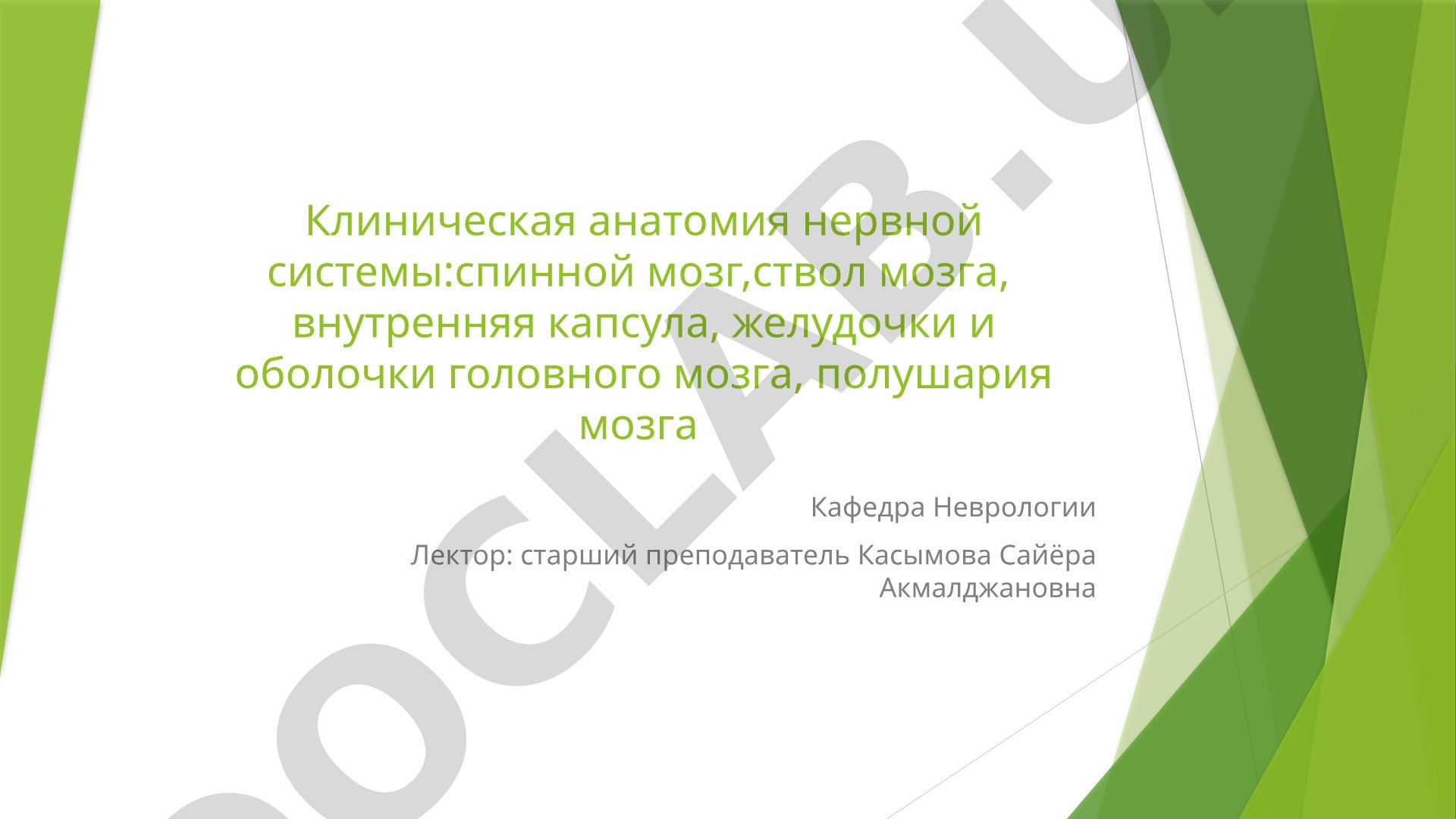 Клиническая анатомия нервной системы: спинной мозг, ствол мозга, внутренняя капсула, желудочки и оболочки головного мозга, полушария мозга