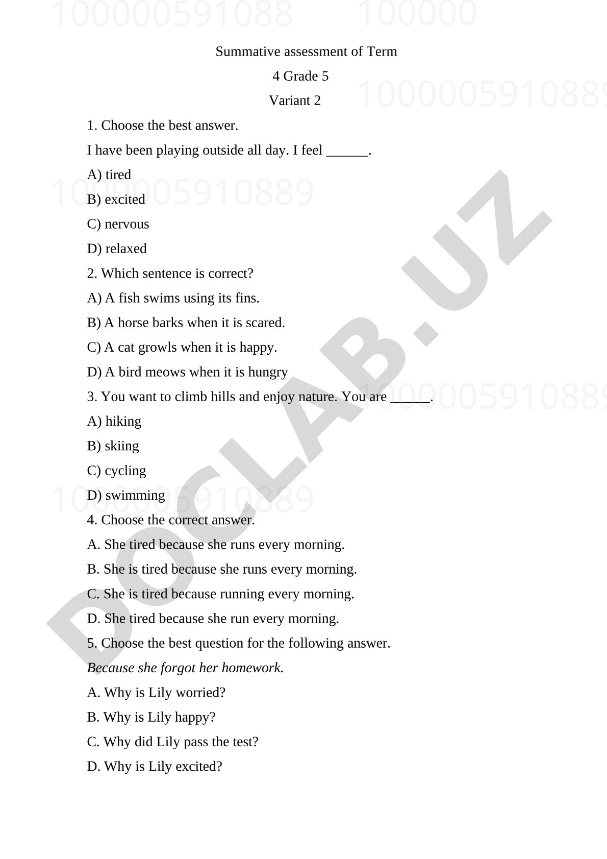 Grade 5 Term 4 English Summative Assessment