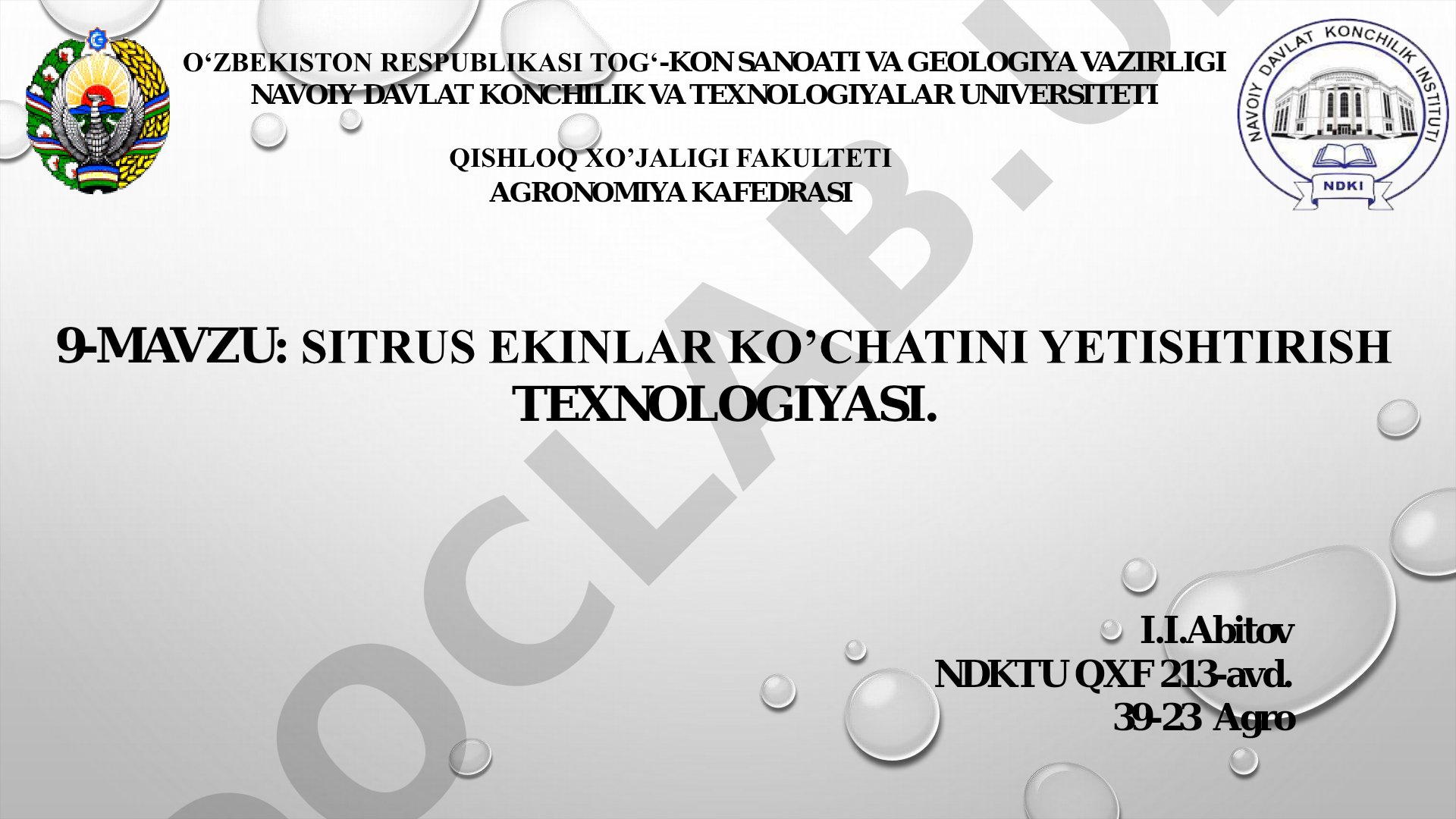 SITRUS EKINLAR KO’CHATINI YETISHTIRISH TEXNOLOGIYASI