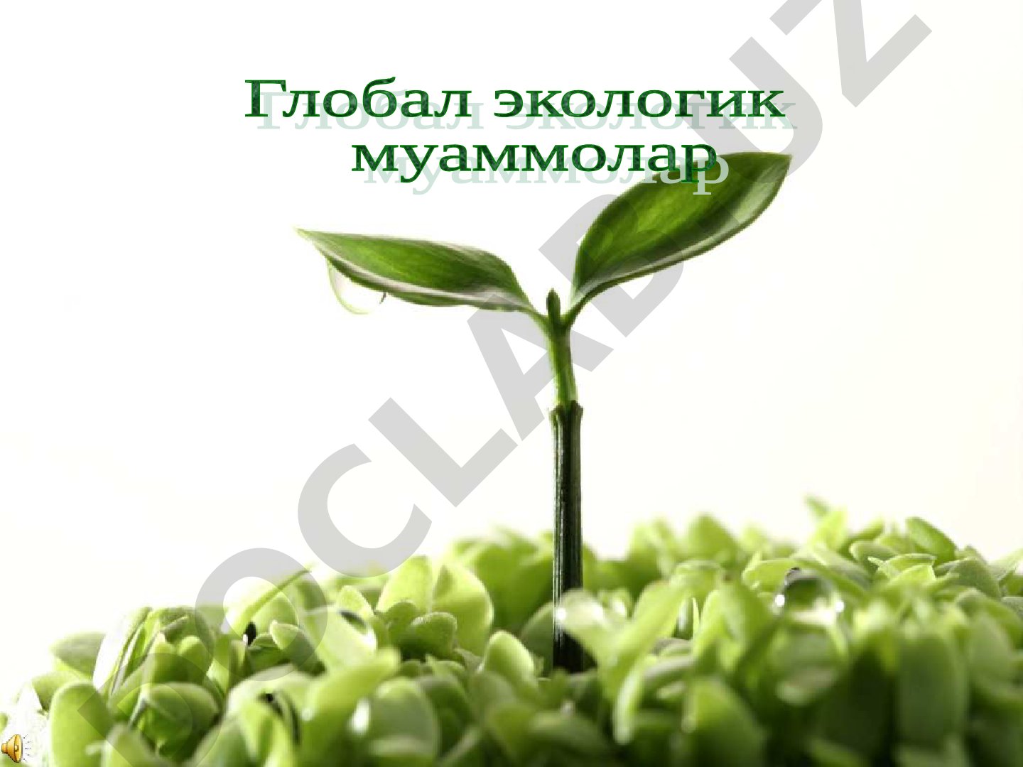 Атмосфера, океан ва тупроқнинг кимёвий ифлосланиш муаммолари баён этилган