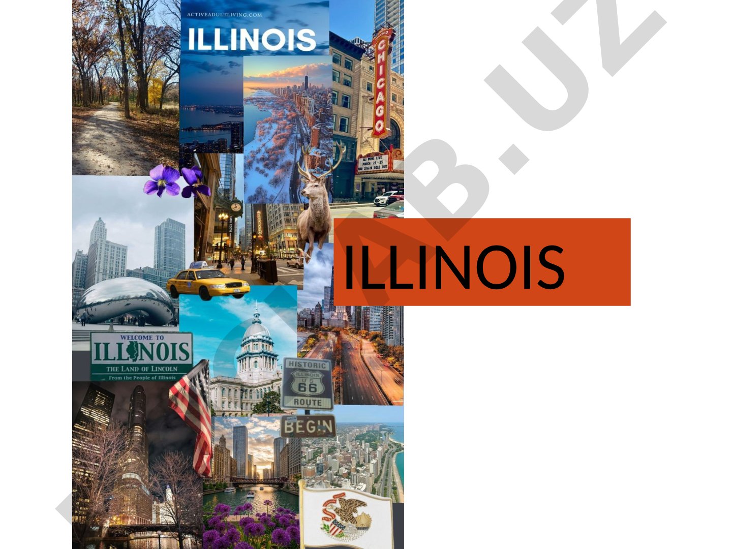 Illinois Illinoisning joylashuvi va umumiy ma’lumotlar