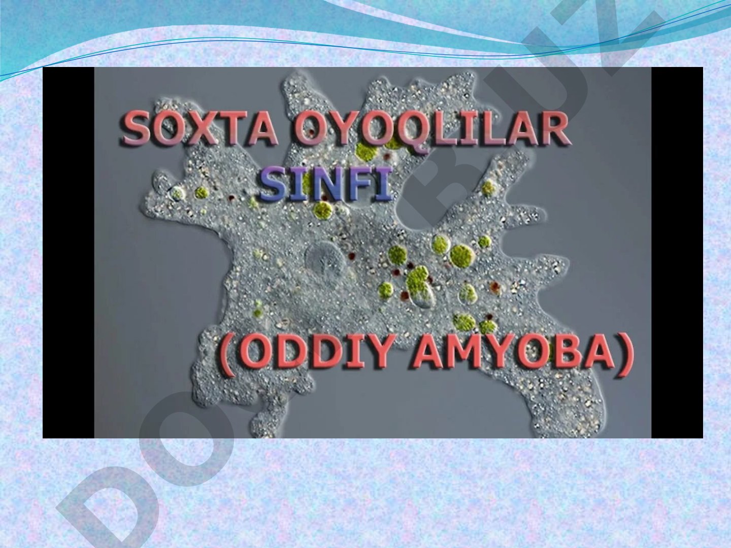 Rahmat so'zi va turli rasmlar