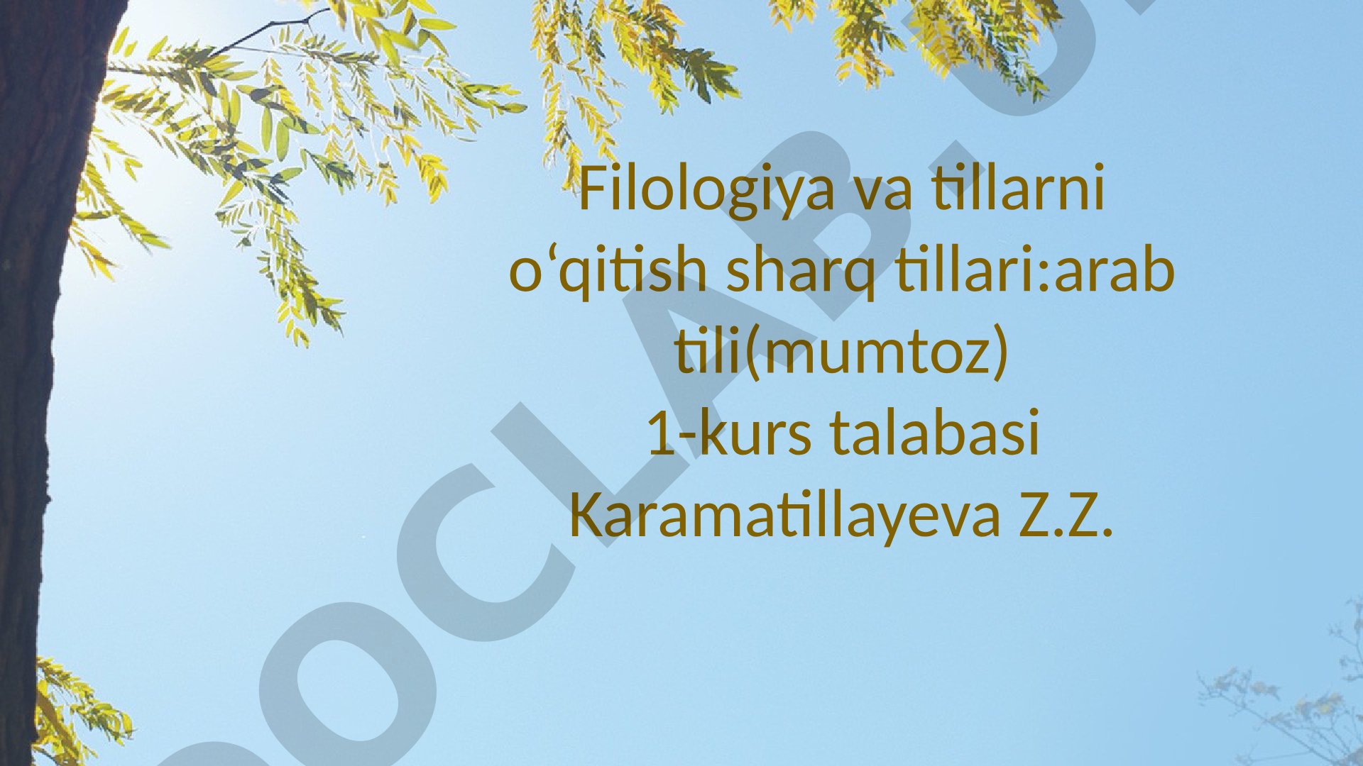 Qidiruv tizimlari turlari