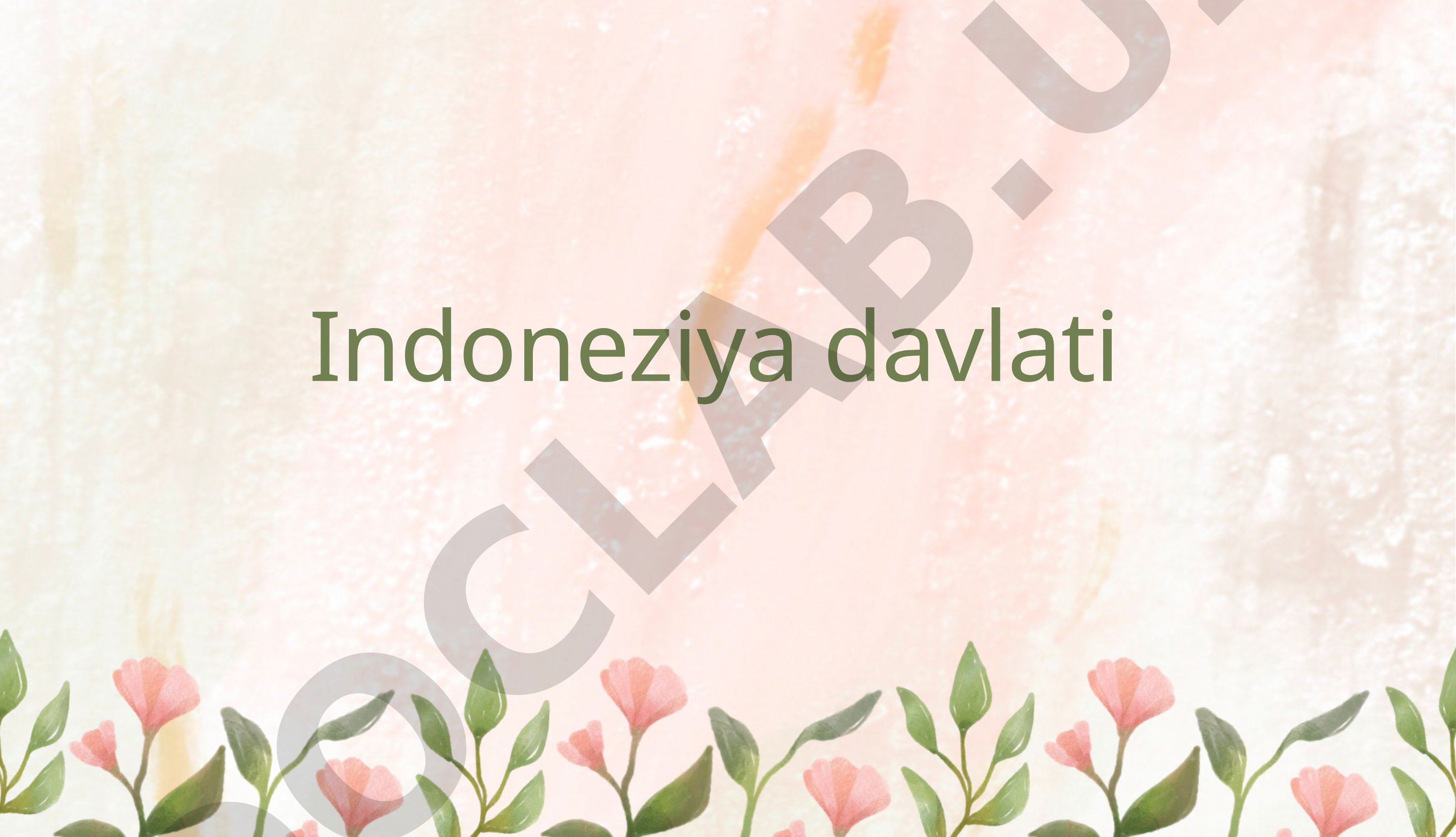 Indoneziya: tarixi, geografiyasi, iqtisodiyoti, davlat tuzilishi va turistik shaharlari