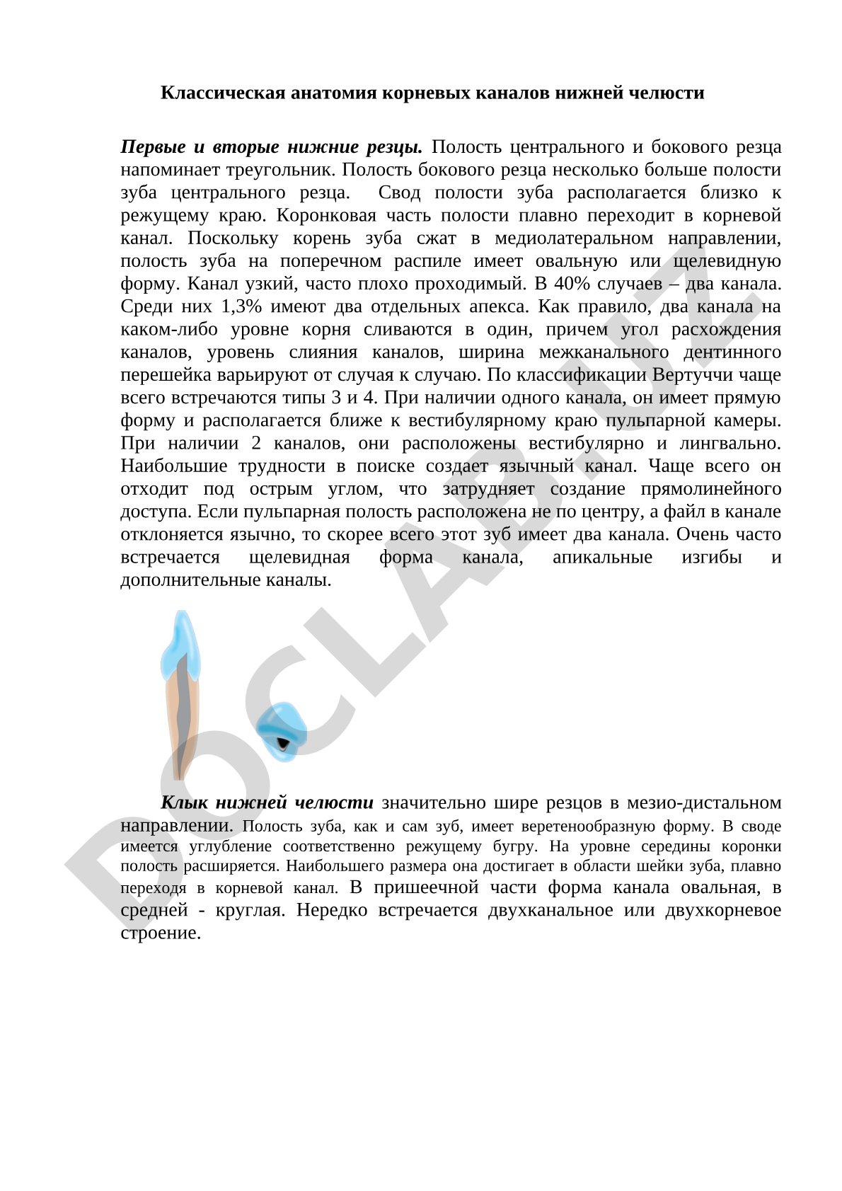 Классическая анатомия корневых каналов нижней челюсти