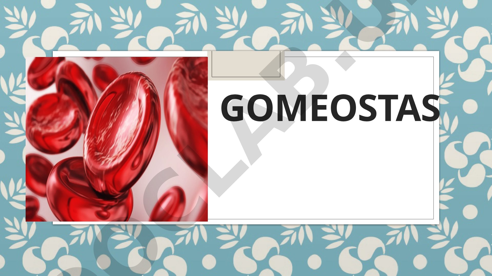 Gomeostaz