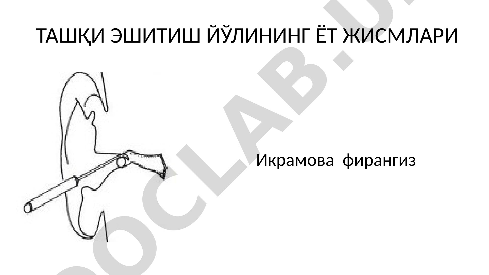 Ташқи эшитиш йўлининг ёт жисмлари