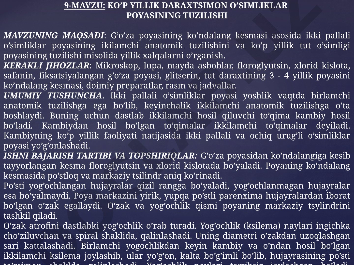 KO’P YILLIK DARAXTSIMON O’SIMLIKLAR POYASINING TUZILISHI