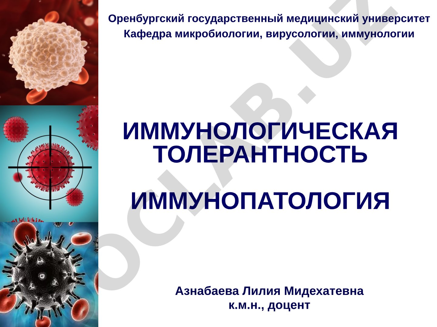 Иммунологическая толерантность и иммунопатология