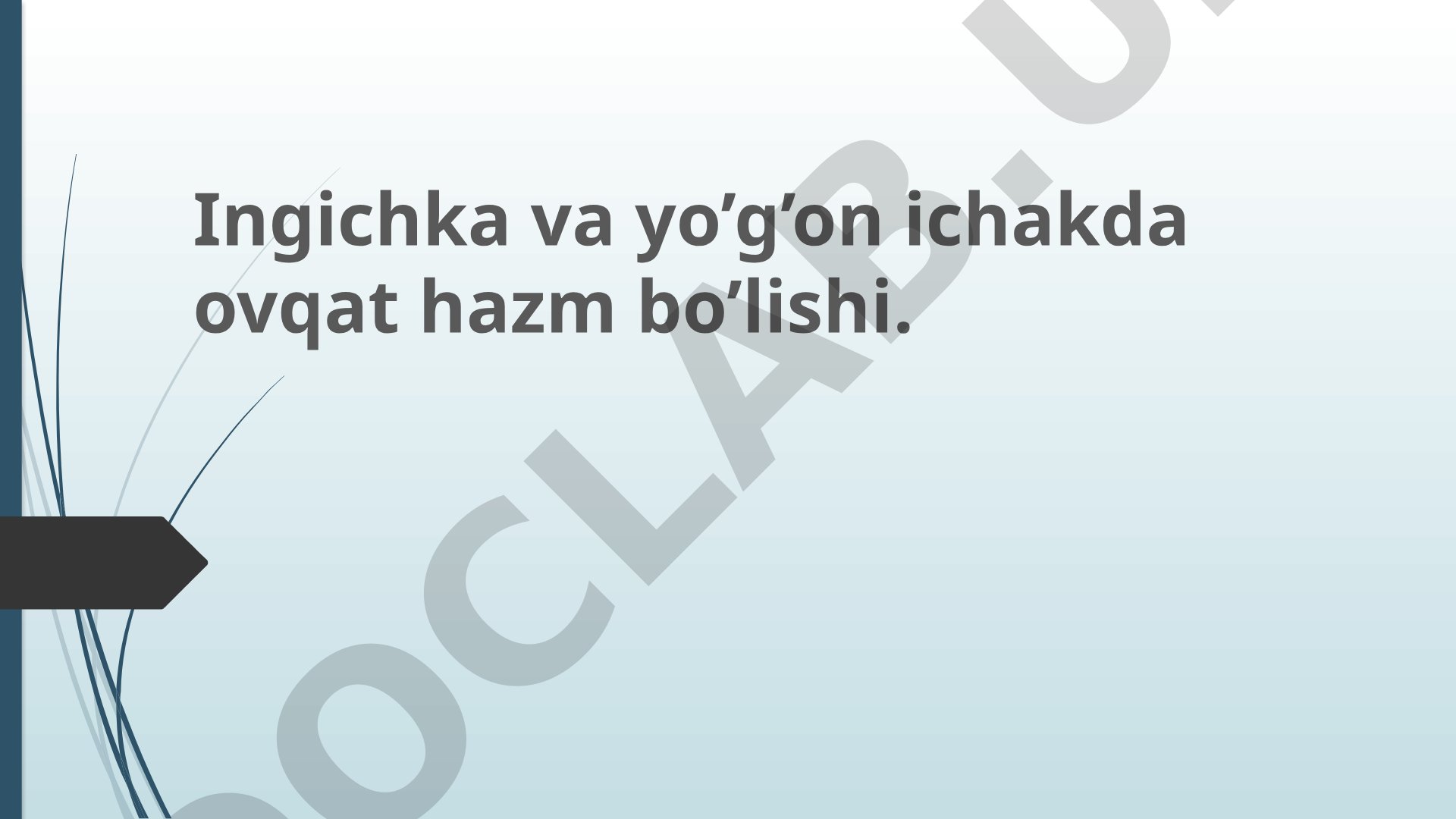 Ingichka va yo’g’on ichakda ovqat hazm bo’lishi