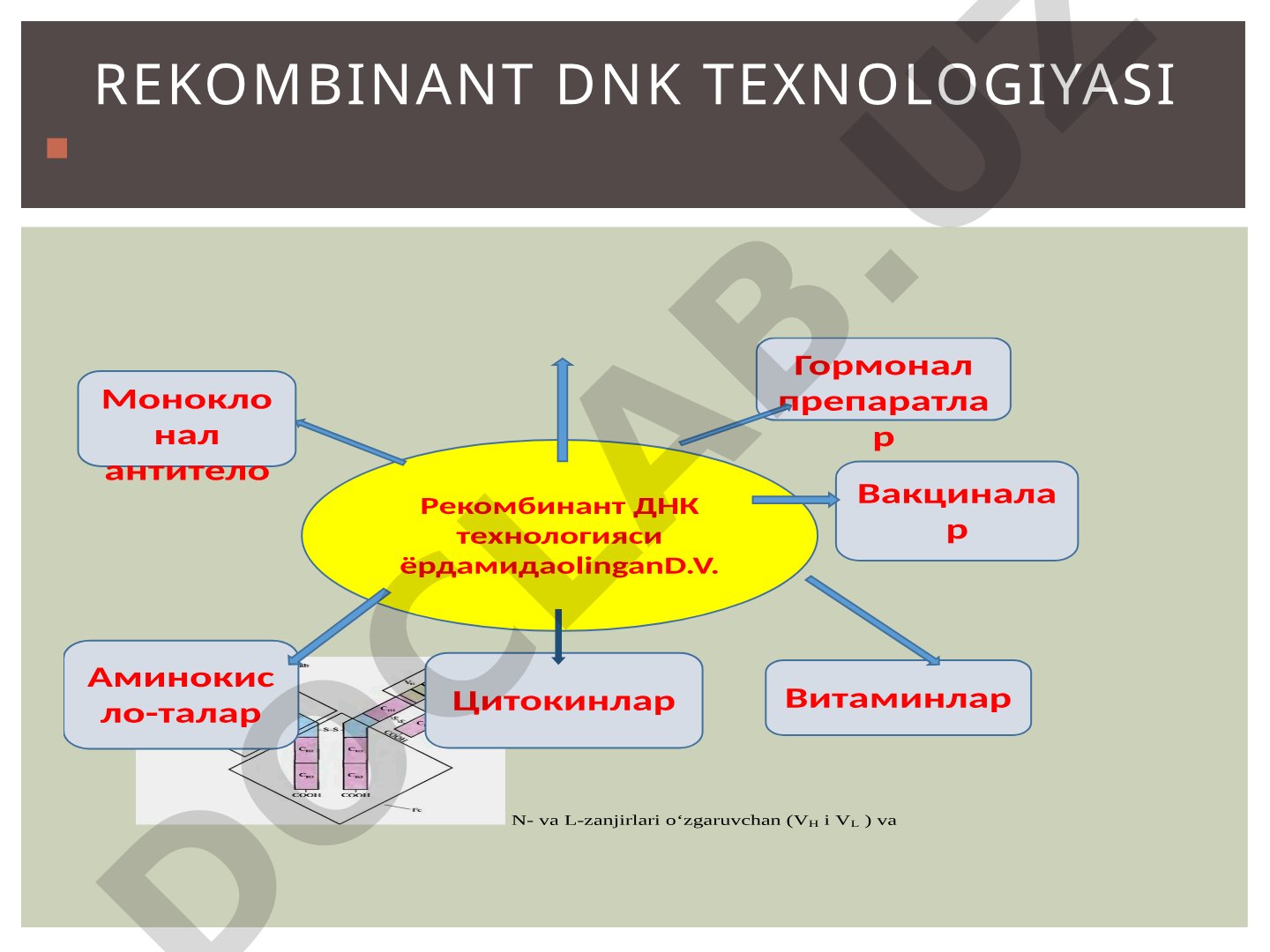 Rekombinant DNK texnologiyasi va uning tibbiyotda qo'llanilishi
