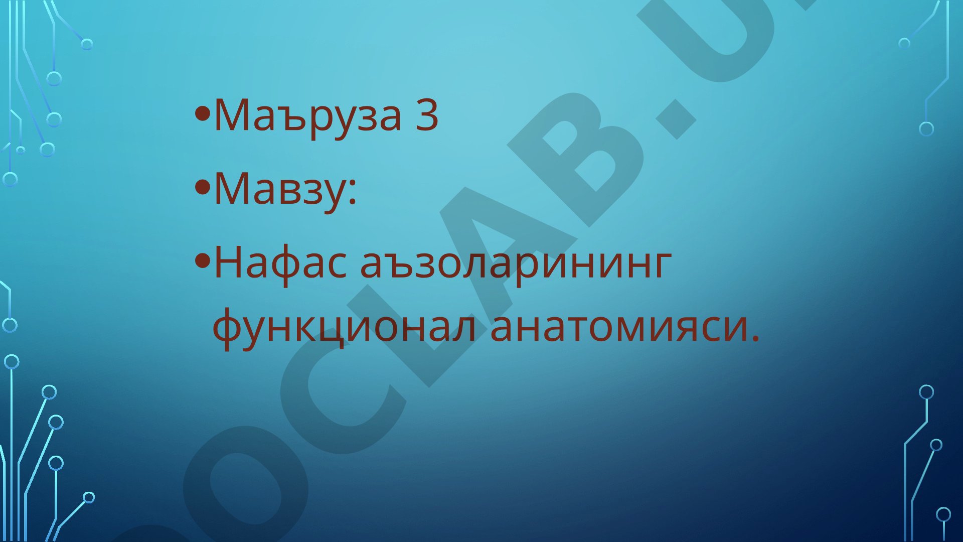 Нафас аъзоларининг функционал анатомияси