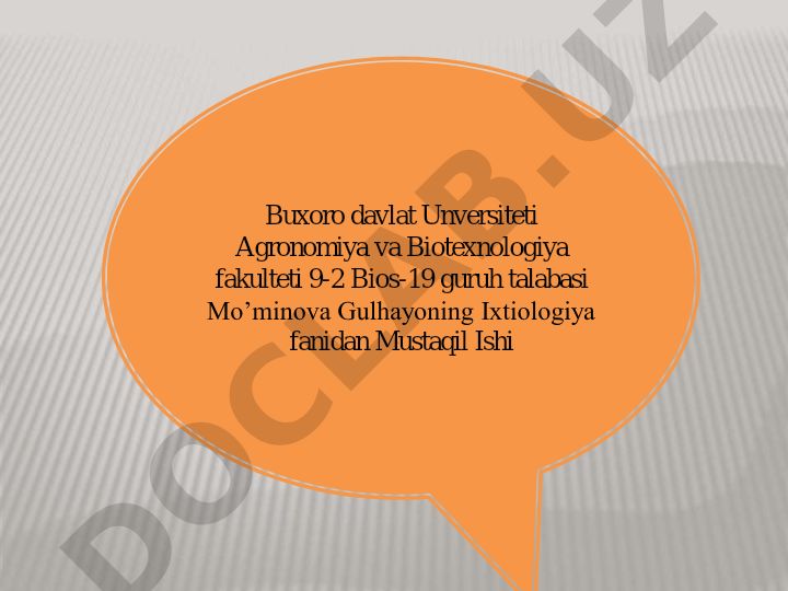 Suyakli baliqlar (Osteichthyes) va Ganoidlar katta turkumi