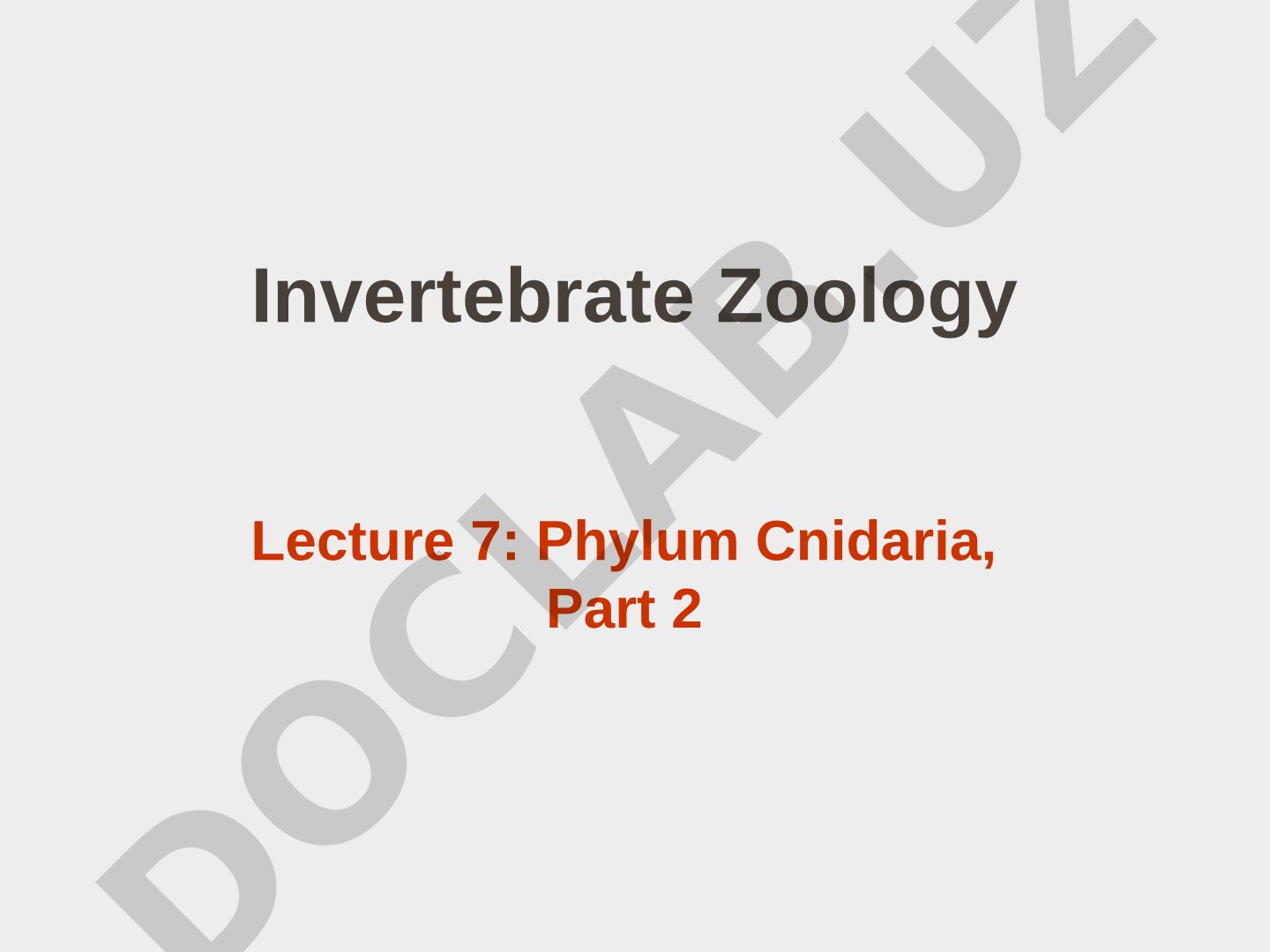 Phylum Cnidaria, Class Hydrozoa: Orders and Characteristics