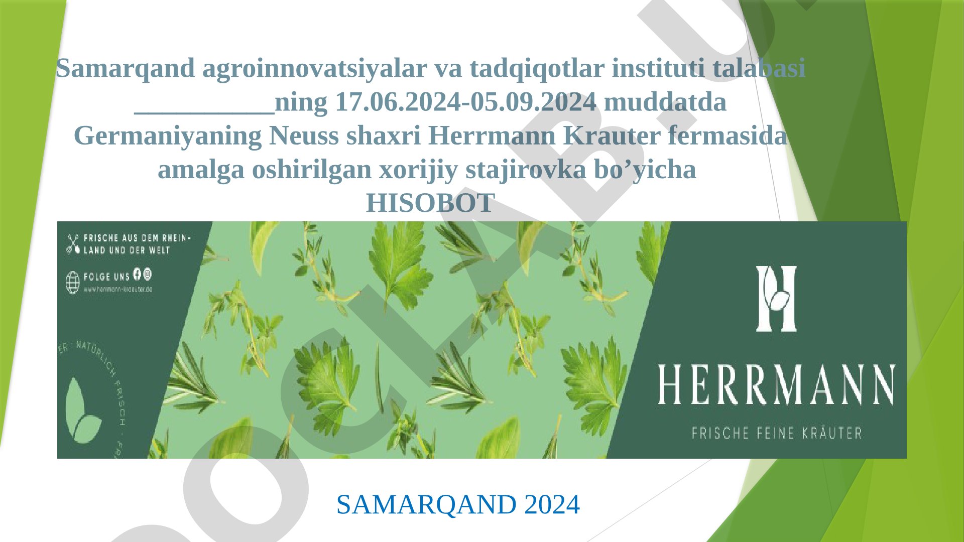 Herrmann Krauter fermasida xorijiy stajirovka bo'yicha hisobot