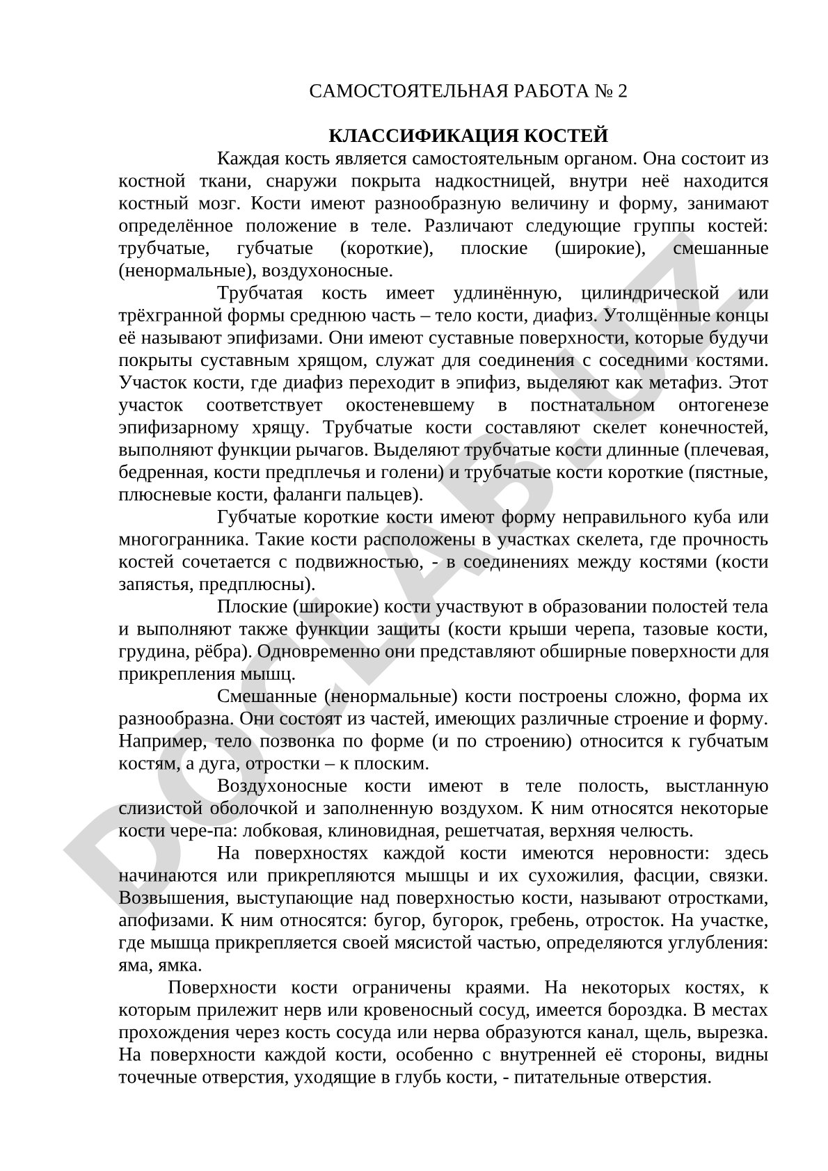 Классификация костей