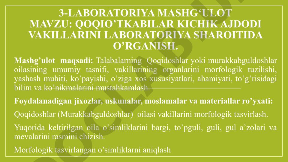 Qoqio’tkabilar kichik ajdodi vakillarini laboratoriya sharoitida o’rganish