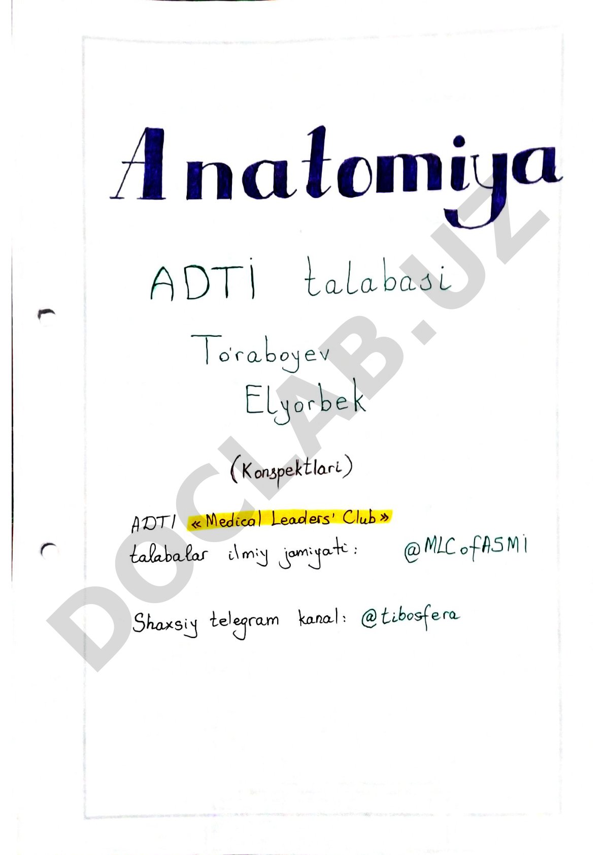 16-page PDF