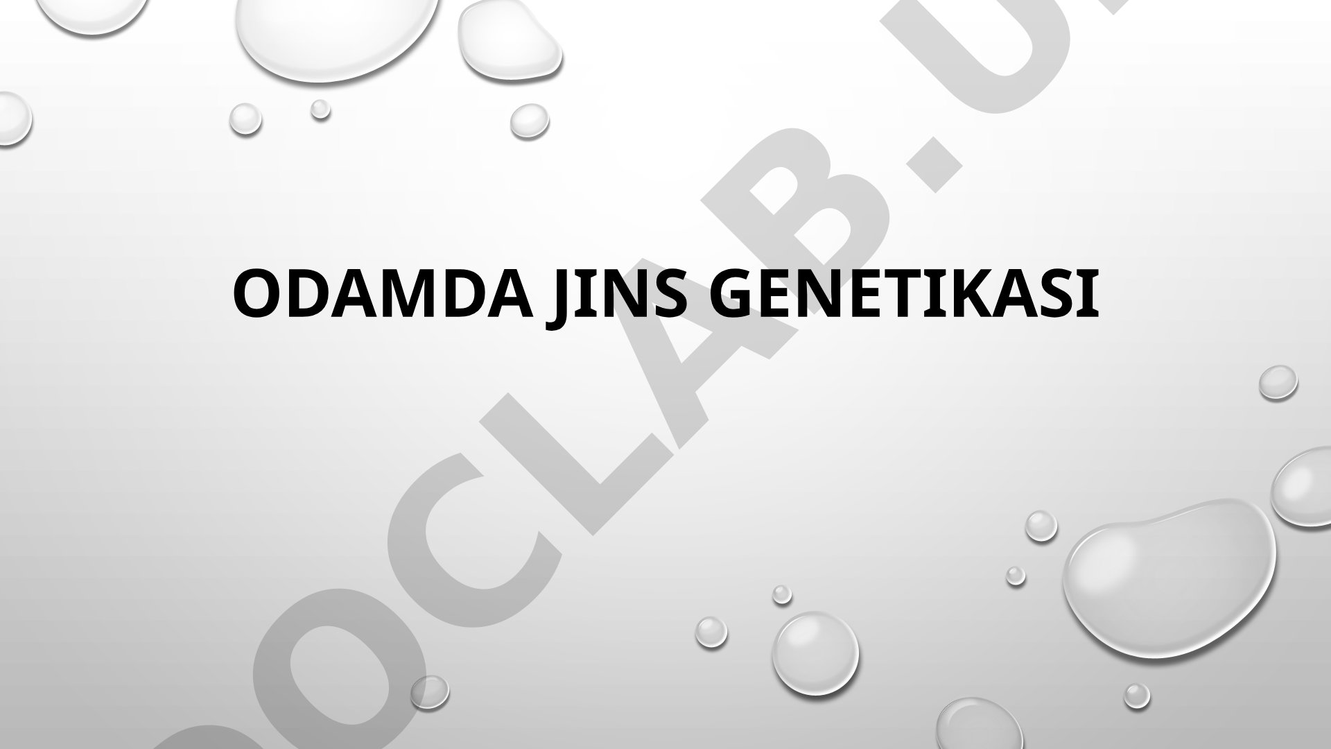 Odamlarda jins nisbati, jins bilan birikkan belgilar irsiylanishi va jinsiy xromosomalar