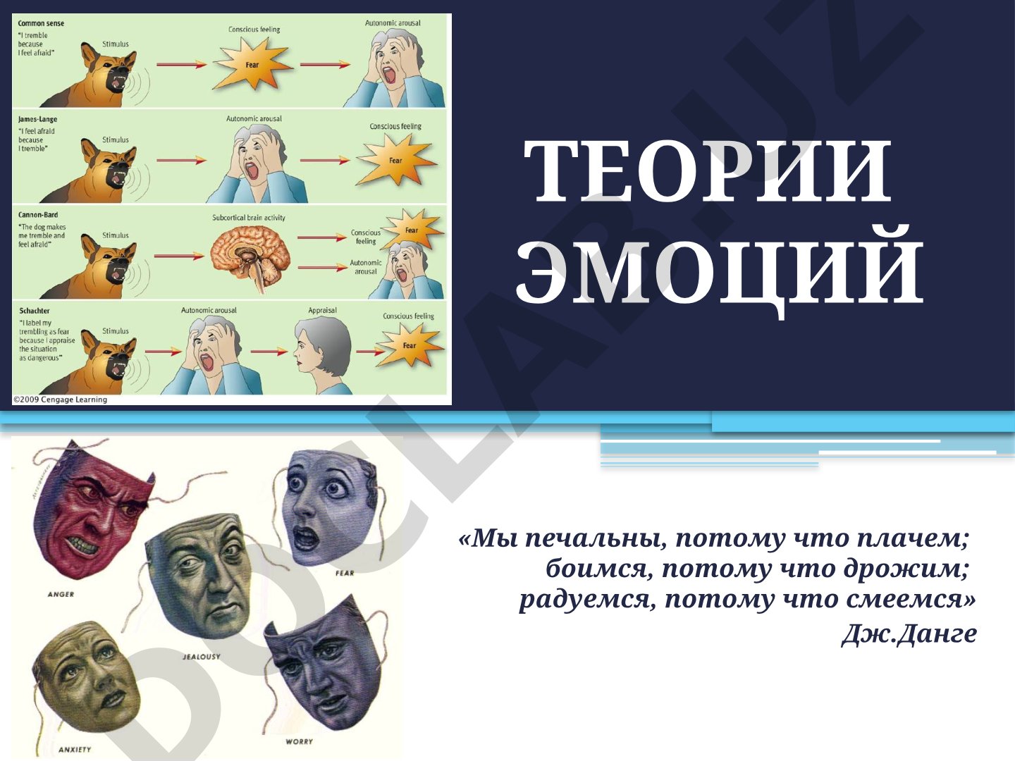 Теории эмоций