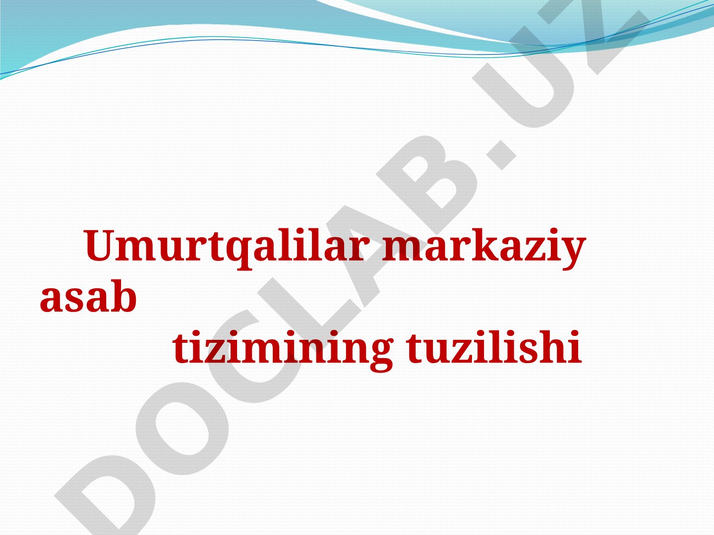 Umurtqalilar markaziy asab tizimining tuzilishi